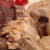 Bollito misto con peara